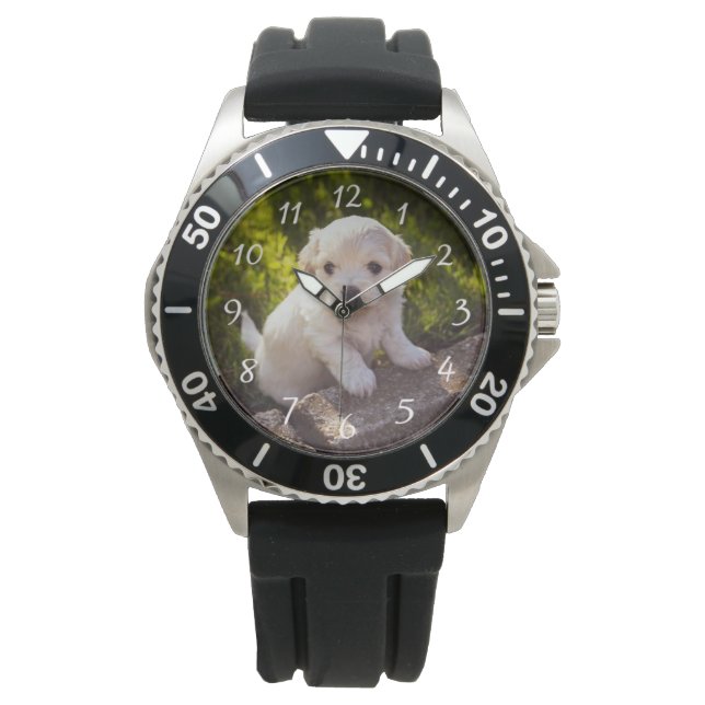 Reloj De Pulsera Mascota Foto Acero inoxidable Black Rubber Strap W (Anverso)