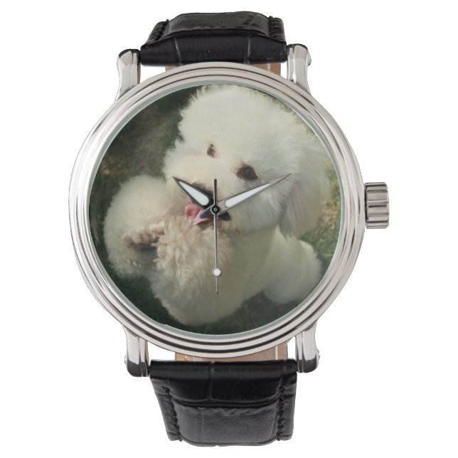 Reloj De Pulsera Mascotas, perro, caniche (Anverso)