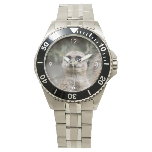 Reloj De Pulsera Meerkat_021 (Anverso)