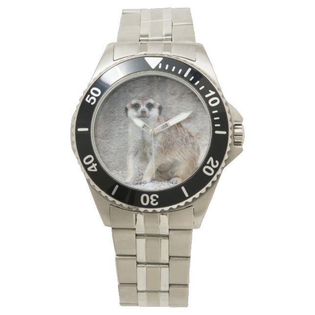 Reloj De Pulsera Meerkat 134 (Anverso)