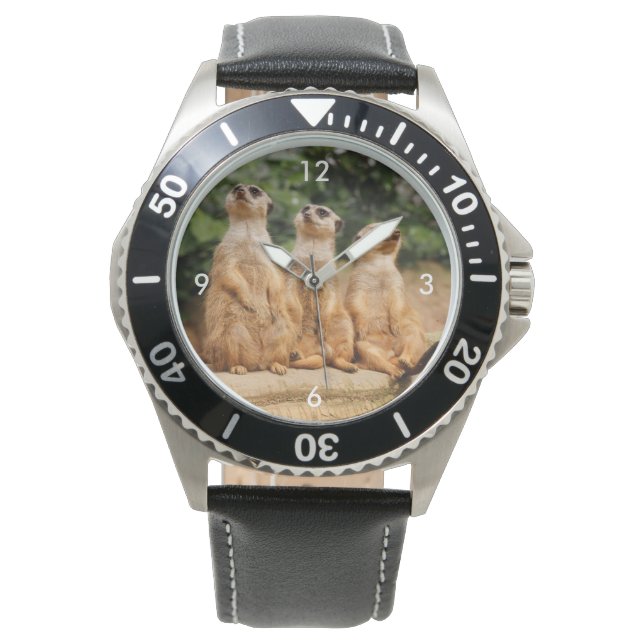 Reloj De Pulsera Meerkat_2015_0101 (Anverso)