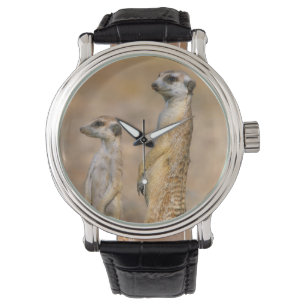 Reloj De Pulsera Meerkat (Suricata Suricatta) Sentinels, Karas