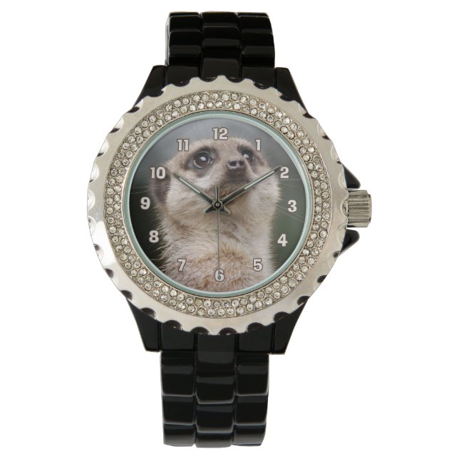 Reloj De Pulsera Meerkat Watch (Anverso)