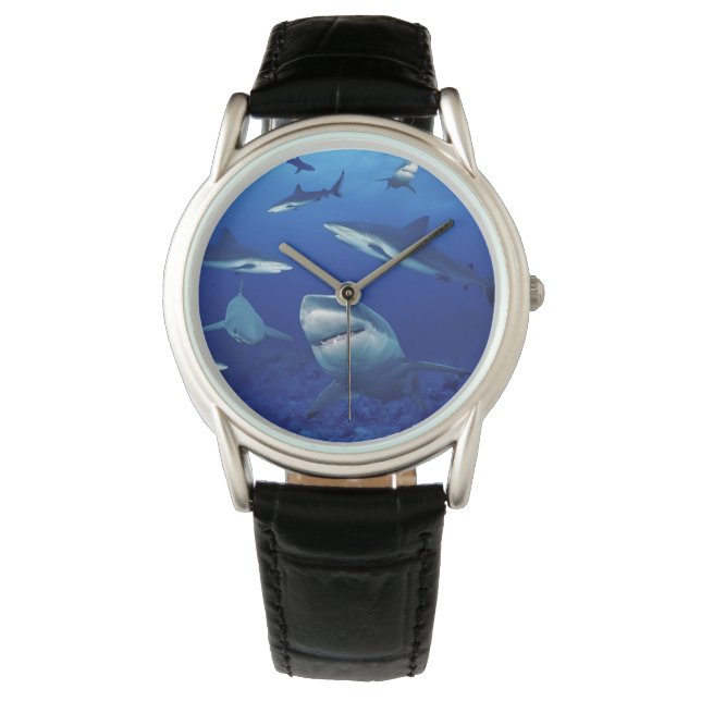 Reloj De Pulsera Mens Classic Watch/Sharks (Anverso)