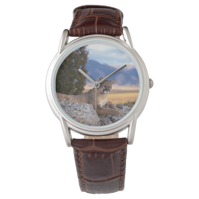Reloj De Pulsera Mens Classic Watch/Willife Mountain Lion (Anverso)