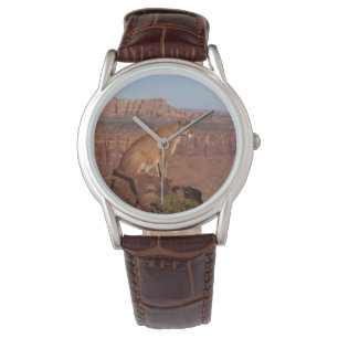 Reloj De Pulsera Mens Classic Watch/Willife Mountain Lion