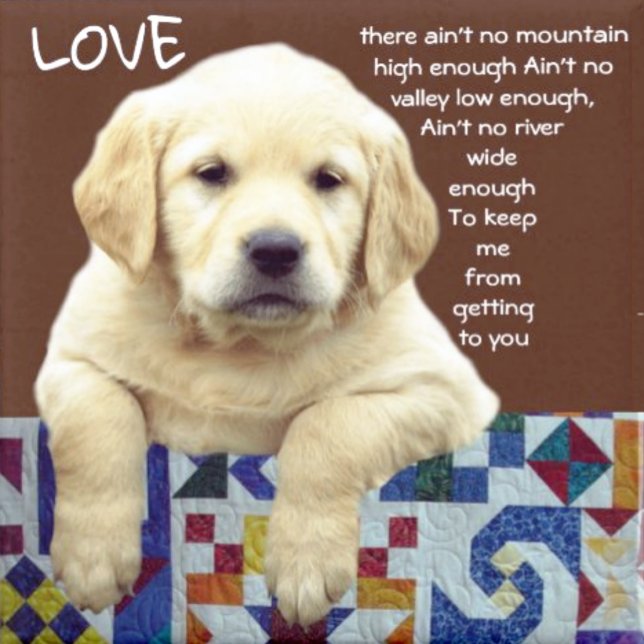 RELOJ DE PULSERA "MI MARAVILLOSA TIERRA" (Subido por el creador)