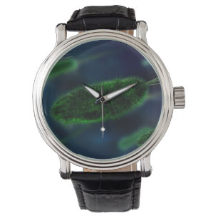 Reloj De Pulsera Microbios de las bacterias