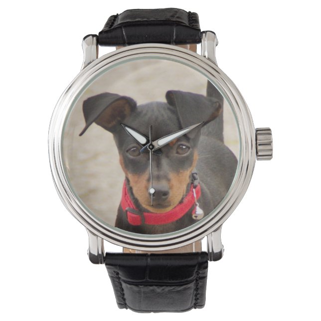 Reloj De Pulsera mini-pinscher-negro y óxido (Anverso)