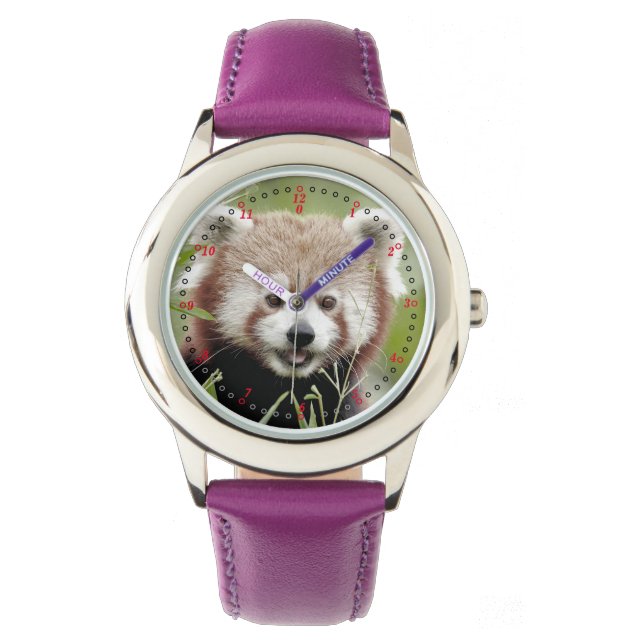 Reloj De Pulsera Mira el panda rojo. Panda roux. (Anverso)