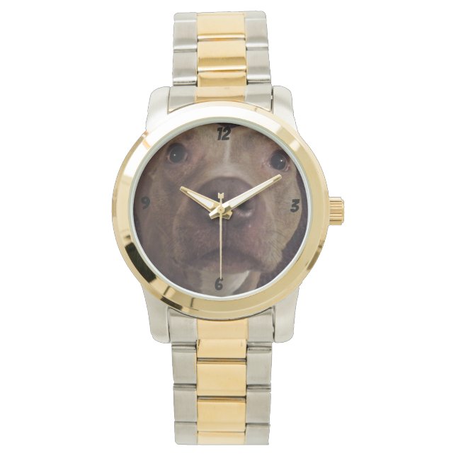 Reloj De Pulsera Mirada de BULLDOG PIT (Anverso)