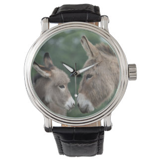 Reloj De Pulsera Mirada de burros