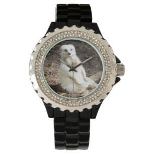Reloj De Pulsera Modelo en lo salvaje: Meerkat blanco posando para 