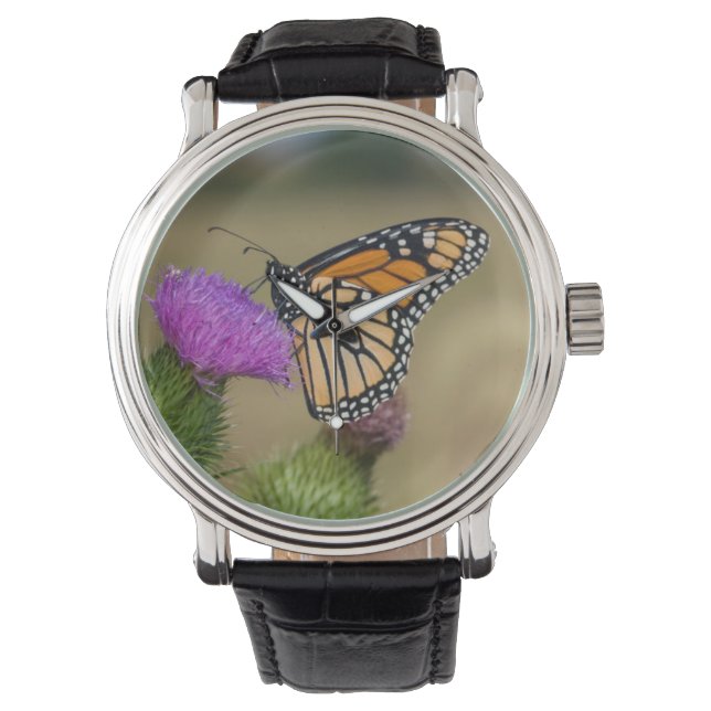 Reloj De Pulsera Monarca en Pastizal Thistle Prairie Ridge (Anverso)