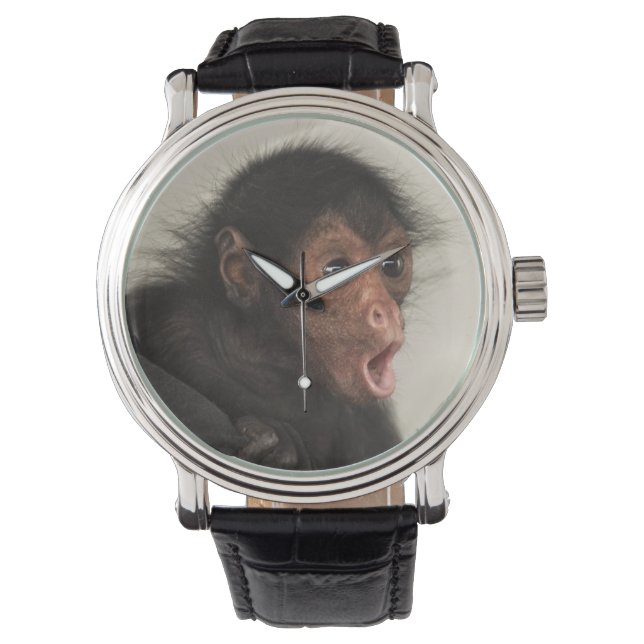 Reloj De Pulsera Mono araña de cara roja Ateles paniscus) (Anverso)