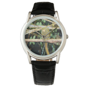 Reloj De Pulsera Mono De Marmoset Sentado En Una Sucursal,
