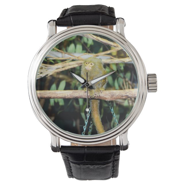 Reloj De Pulsera Mono De Marmoset Sentado En Una Sucursal, (Anverso)