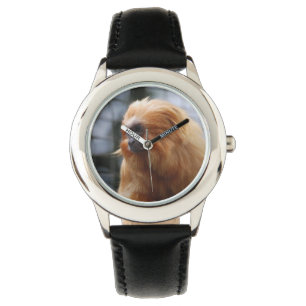 Reloj De Pulsera Mono del León Dorado Tamarin