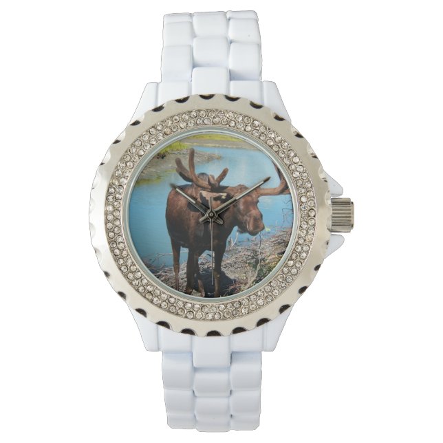 Reloj De Pulsera Moose (Anverso)