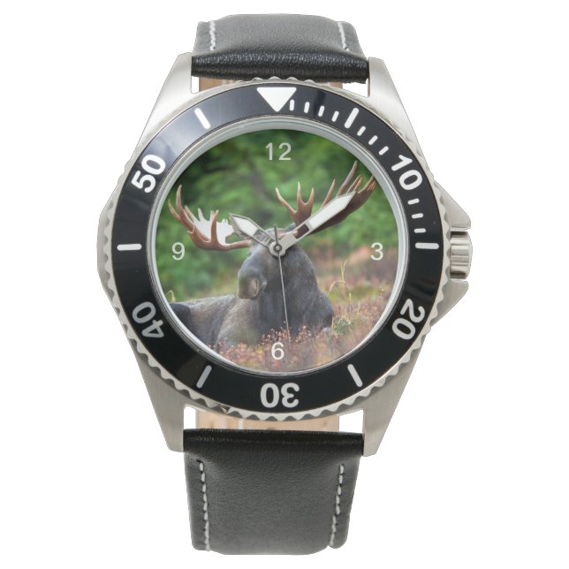 Reloj De Pulsera Moose (Anverso)