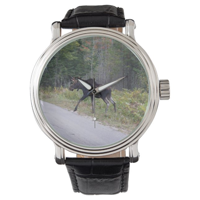 Reloj De Pulsera Moose (Anverso)