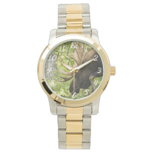 Reloj De Pulsera Moose de significación