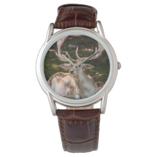 Reloj De Pulsera muestra foto ciervo bajo las maderas