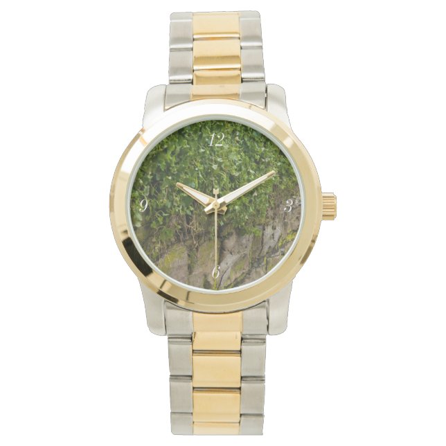 Reloj De Pulsera Muro De Ivy (Anverso)