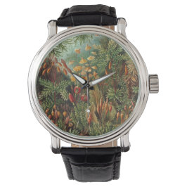 Reloj De Pulsera Muscinae vintage, Moss Plants de Ernst Haeckel