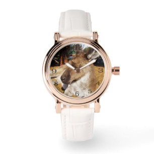 Reloj De Pulsera Napas de la tarde: Canguro australiano espeluznant