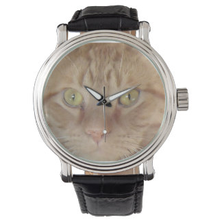 Reloj De Pulsera Naranja Tabby Cat