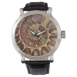 Reloj De Pulsera naturaleza animal del caracol del negro fósil