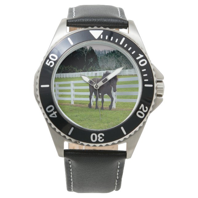 Reloj De Pulsera Nonesuch at Cedar Point  (Anverso)