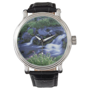 Reloj De Pulsera Norteamérica, EE. UU., Washington, Monte Rainier 3