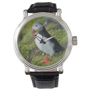 Reloj De Pulsera Noruega, archipiélago de Svalbard, Spitsbergen 9
