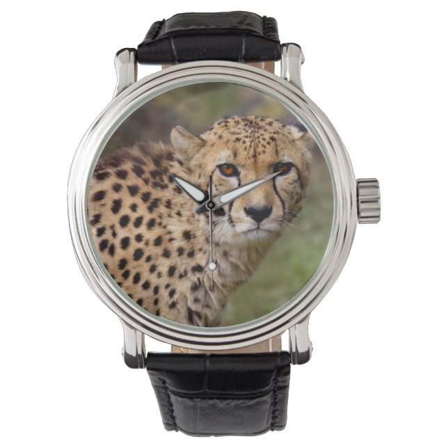 Reloj De Pulsera Observación de guepardos (Anverso)