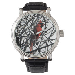 Reloj De Pulsera Observación de pájaros cardenal