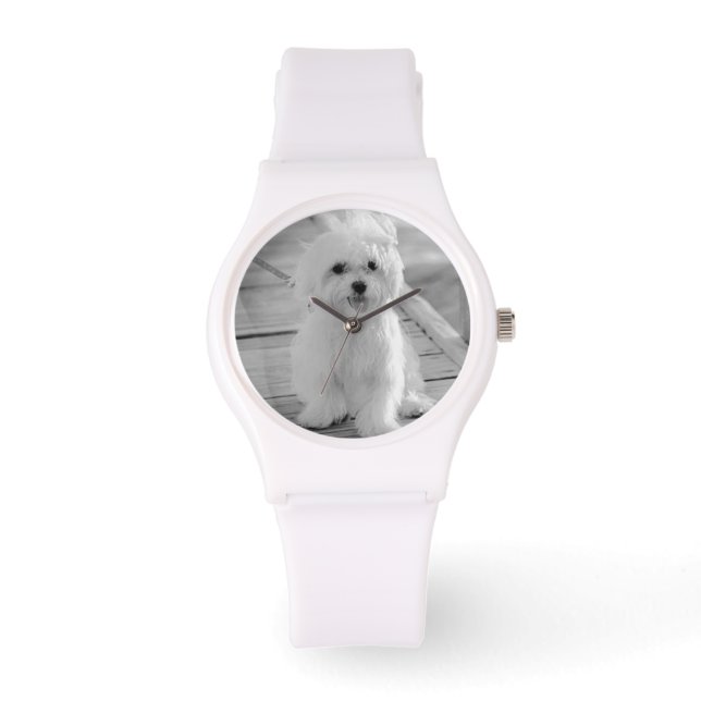 RELOJ DE PULSERA OBSERVAR REGALOS ESPECIALES MALTESES PARA LOS AMAN (Anverso)