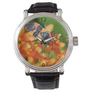 Reloj De Pulsera Oculto a plena vista