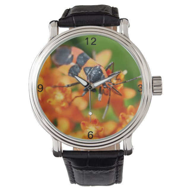 Reloj De Pulsera Oculto a plena vista (Anverso)