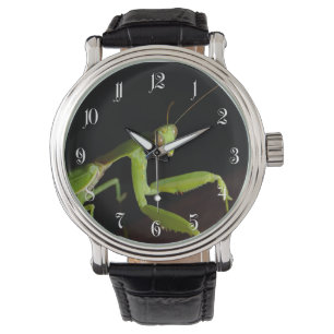 Reloj De Pulsera Orando mantid