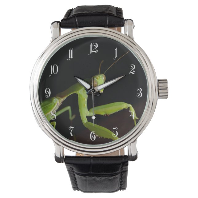 Reloj De Pulsera Orando mantid (Anverso)