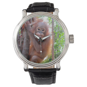 Reloj De Pulsera Orangután del bebé de la caridad de la fauna