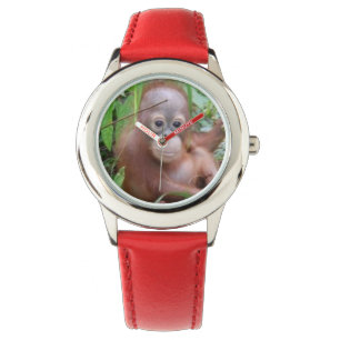 Reloj De Pulsera Orangután Steppenwolf del bebé