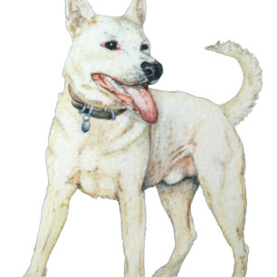 Reloj De Pulsera original picture of a white American bulldog