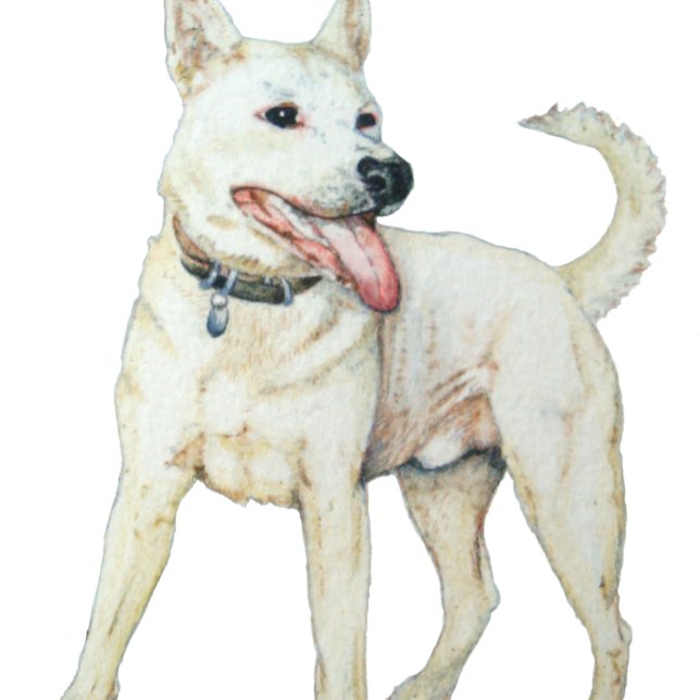 Reloj De Pulsera original picture of a white American bulldog (Subido por el creador)