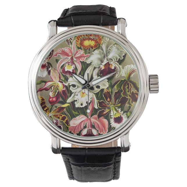 Reloj De Pulsera Orquídeas Orchideae Denusblumen Ernst Haeckel (Anverso)