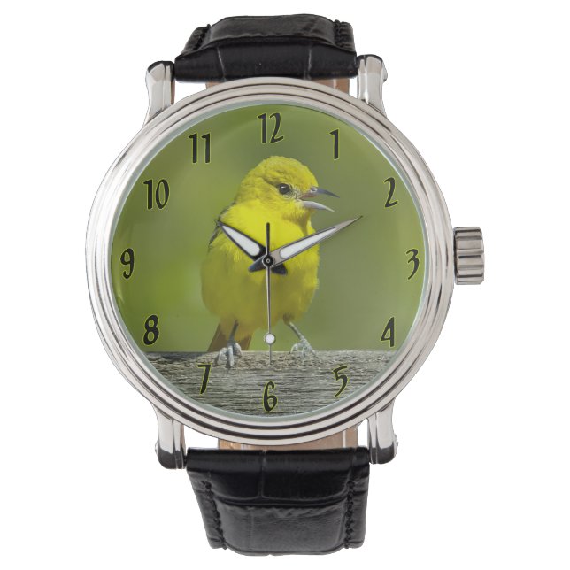 Reloj De Pulsera Ortolano Oriol - Fotografía Original (Anverso)