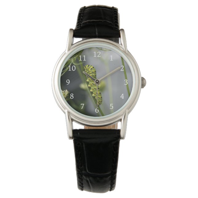 Reloj De Pulsera oruga (Anverso)