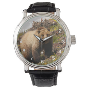 Reloj De Pulsera oso